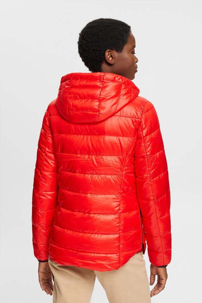Esprit Quilted jacket with 3M™ Thinsulate™ padding 